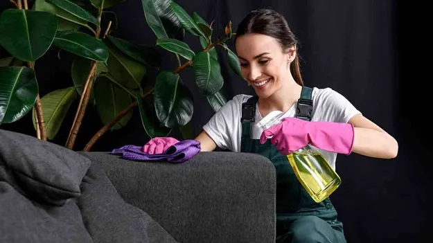 Tips to Make Sofa Cover Clean: సోఫా కవర్‌ కొత్తగా