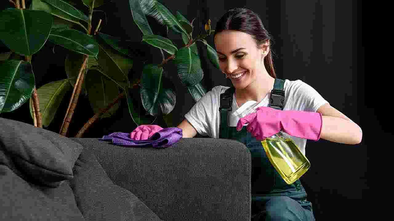 Tips to Make Sofa Cover Clean: సోఫా కవర్‌ కొత్తగా