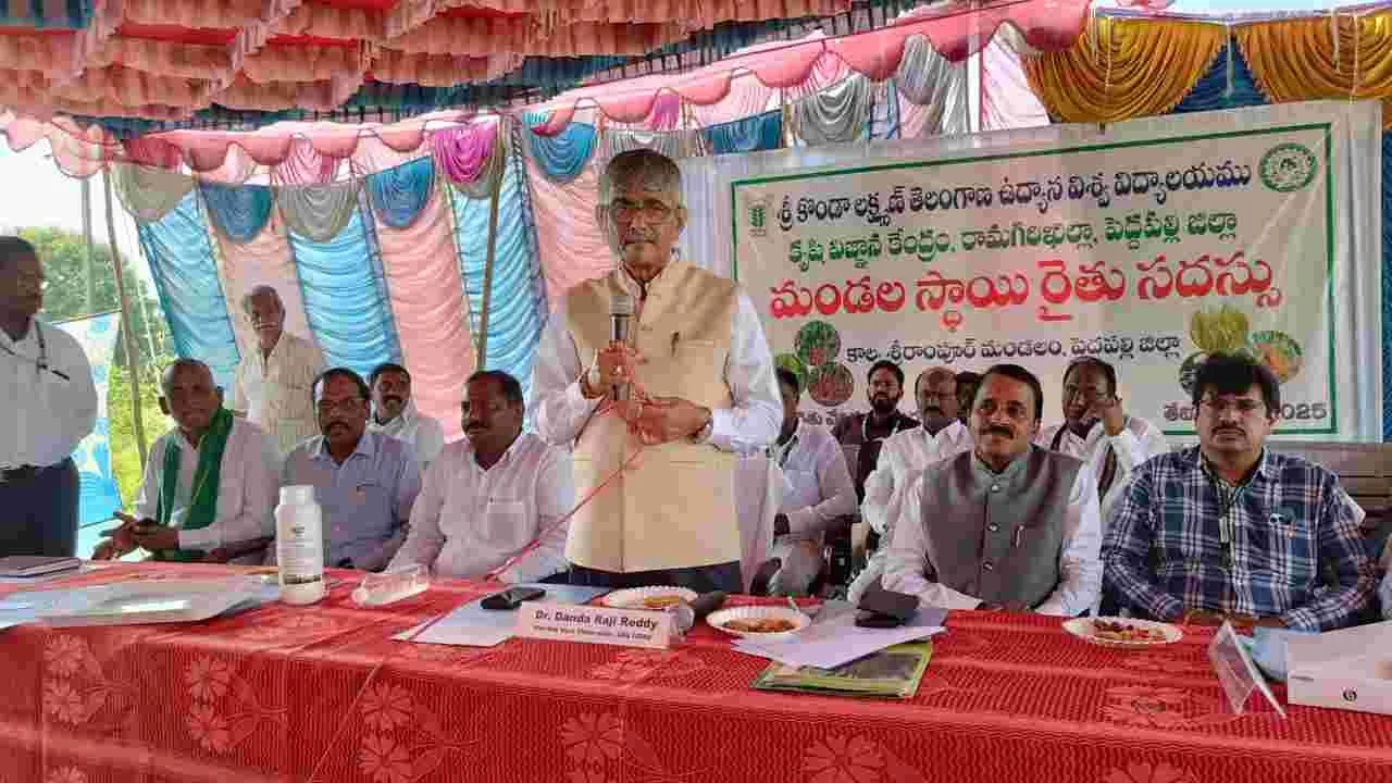 వరికి ప్రత్యామ్నాయ పంటలు వేయాలి