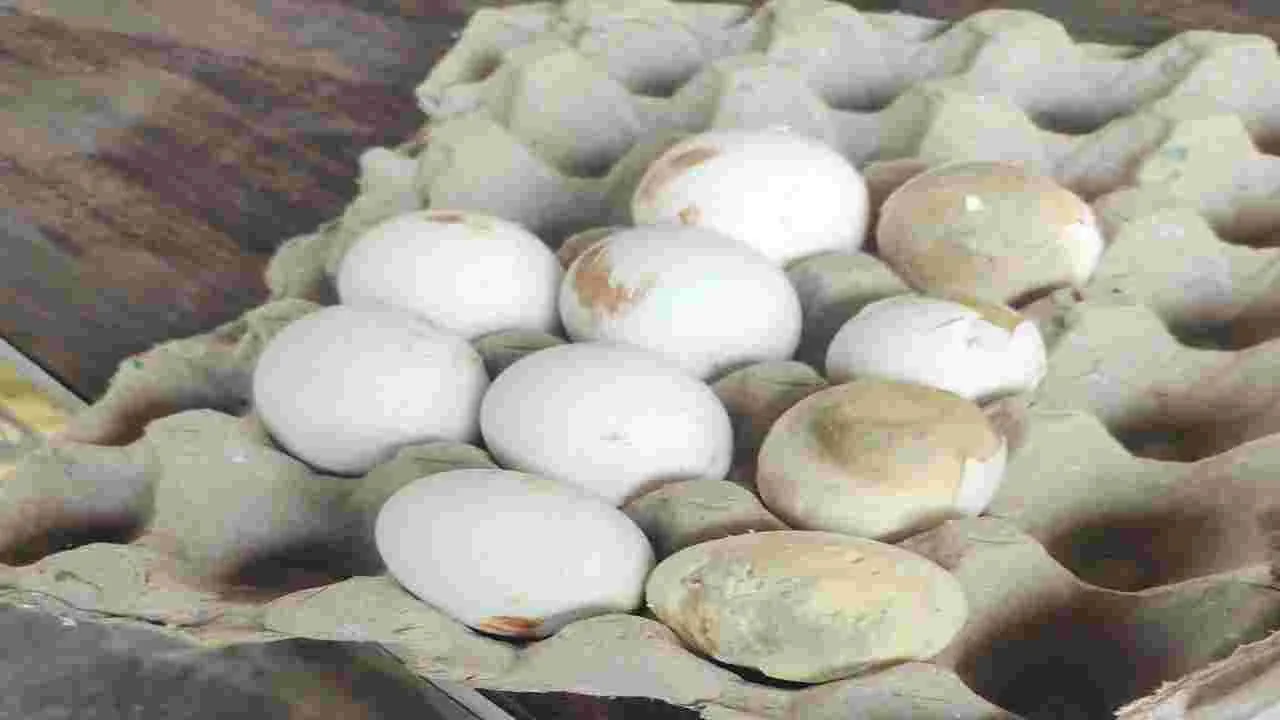 కుళ్లిన గుడ్లతో భోజనమా ?