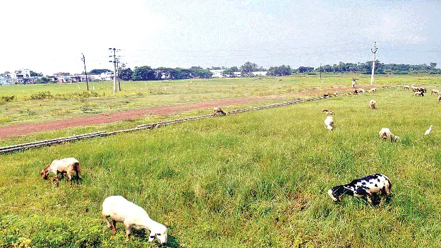 Another 3 months మరో 3 నెలలు