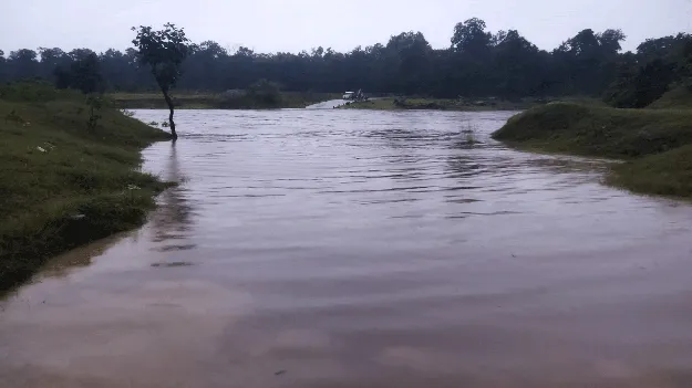 kumaram bheem asifabad- పలు చోట్ల వర్షం