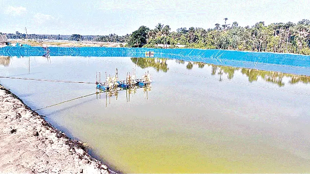 ఆక్వాపై తుఫాన్‌ దెబ్బ!