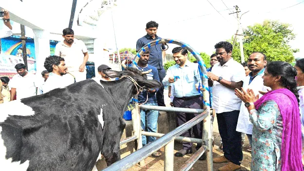 kumaram bheem asifabad- పశువులకు గాలికుంటు వ్యాధి నివారణ టీకా వేయించాలి