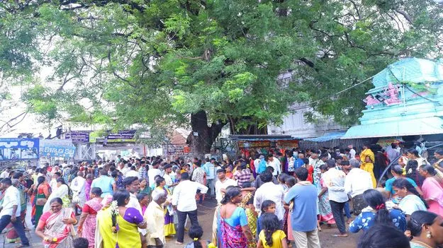 భక్తజన సంద్రంగా రాజన్న ఆలయం