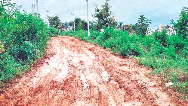 ఏళ్లు గడిచినా.. రోడ్డు వేయరా