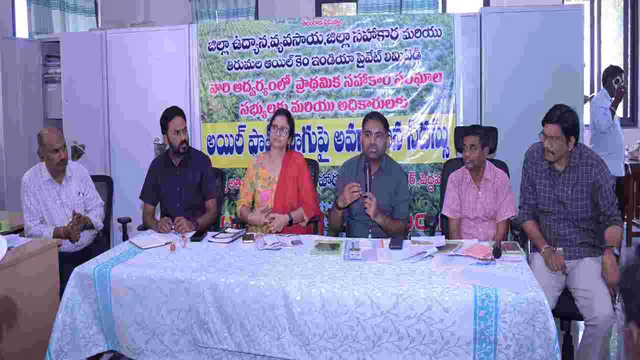 సహకార సంఘాలు ఆయిల్‌పామ్‌ సాగును ప్రోత్సహించాలి