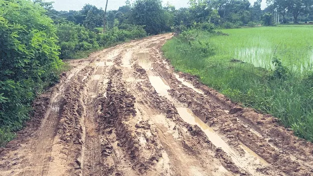 సారు.. మా సమస్య పరిష్కరించండి