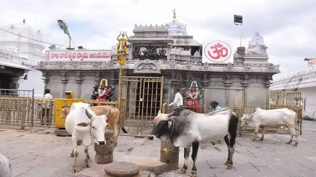 ఇక రాజన్న దర్శనం ఎల్‌ఈడీ స్ర్కీన్‌లలోనే