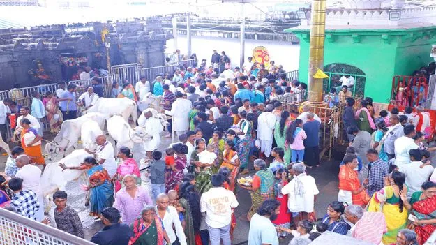 భక్తజన సంద్రంగా రాజన్న క్షేత్రం