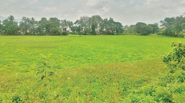 మైదానాలు కాదు.. చెరువులు