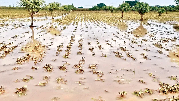 చాగలమర్రిలో భారీ వర్షం 