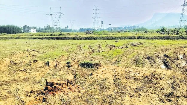 పరిశ్రమల హబ్‌గా మాకవరపాలెం