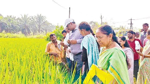  రైతులు ప్రకృతి వ్యవసాయానికి ప్రాధాన్యం ఇవ్వాలి