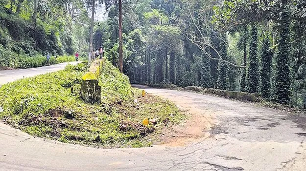 ఘాట్‌ల్లో జంగిల్‌ క్లియరెన్స్‌కు మోక్షం 