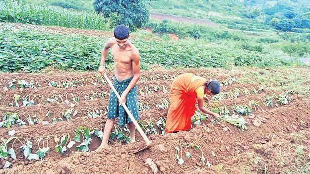 అన్నదాతలకు అండగా! 