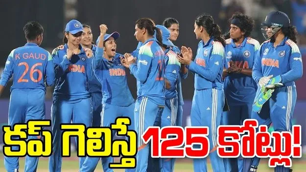 BCCI: కప్ గెలిస్తే.. టీమిండియాకు బీసీసీఐ భారీ ఆఫర్