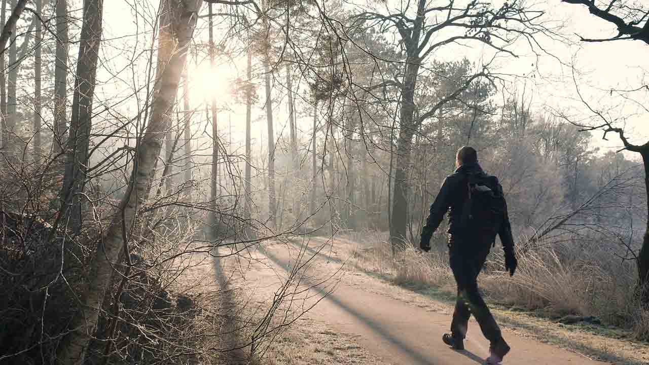 Walking Benefits: ఒక రోజులో ఎన్ని నిమిషాలు నడిస్తే మంచిది..