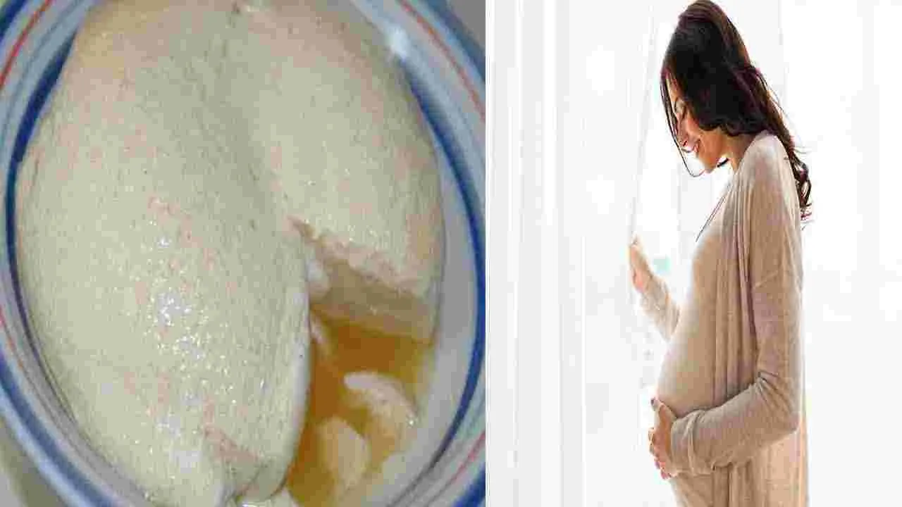 Junnu: గర్భిణులకు జున్ను మంచిదేనా..? 