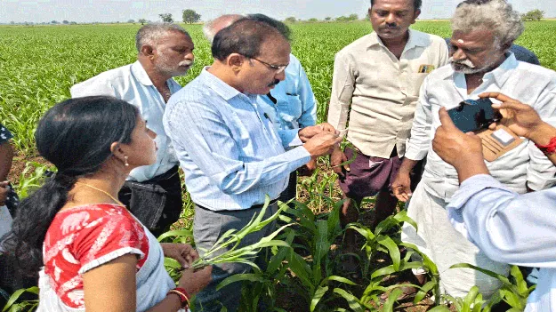 రసాయన ఎరువుల వాడకం తగ్గించాలి