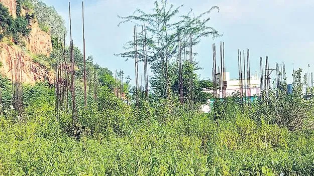 కాపు భవనం కథ కంచికేనా!