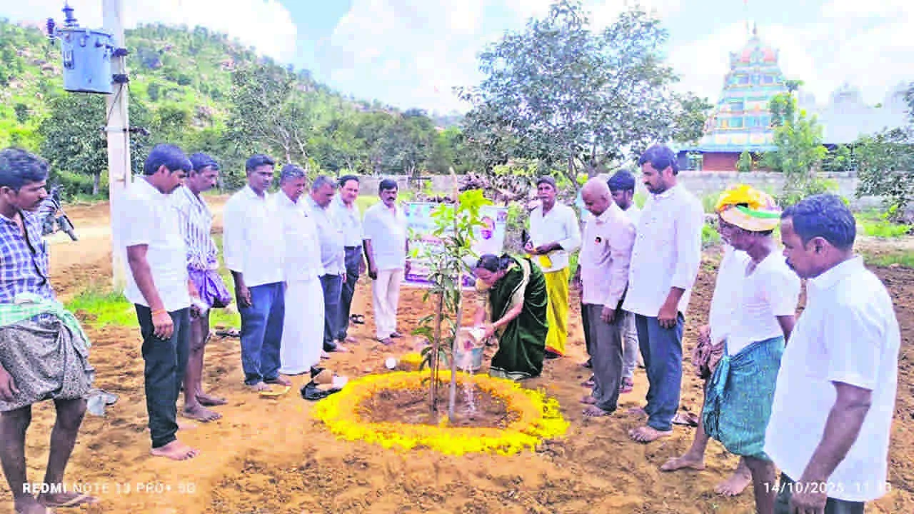 APD: బ్లాక్‌ ప్లాంటేషన పనుల పరిశీలన