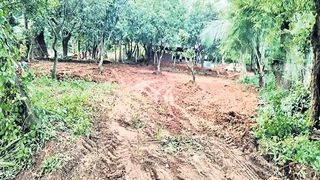 కొండ పోరంబోకు కబ్జా