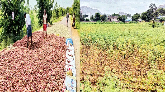 అన్నదాతకు అపార నష్టం