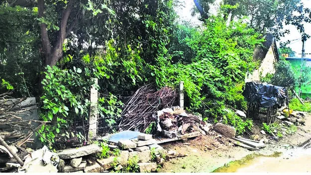 QUARTERS: పాముల బెడద