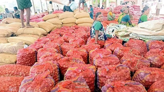 నష్టాల ఉల్లి 