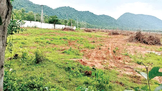   పారిశ్రామికీకరణ దిశగా అడుగులు 