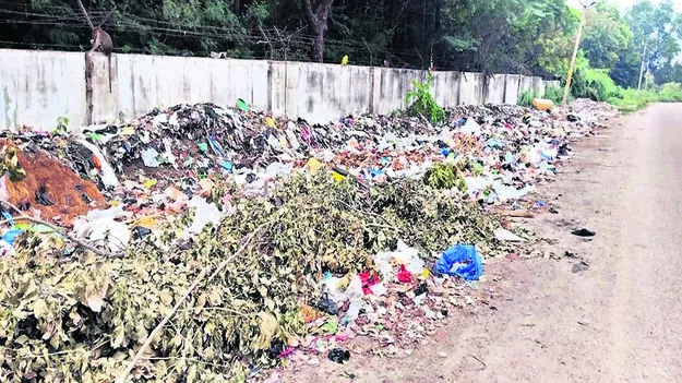 GARBAGE: రోడ్డు పక్కనే చెత్త డంపింగ్‌ 