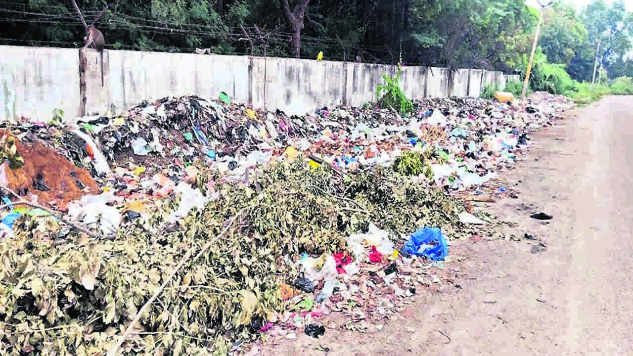 GARBAGE: రోడ్డు పక్కనే చెత్త డంపింగ్‌ 