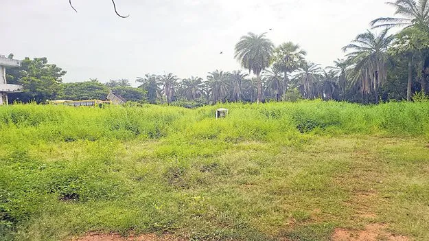 ఏదీ..ఏపీ స్టార్స్‌!