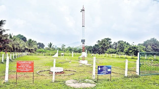 అరుదైన పంటలకు కలిసొచ్చిన వాతావరణం