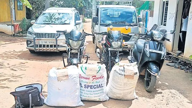 97.5 కిలోల గంజాయి స్వాధీనం