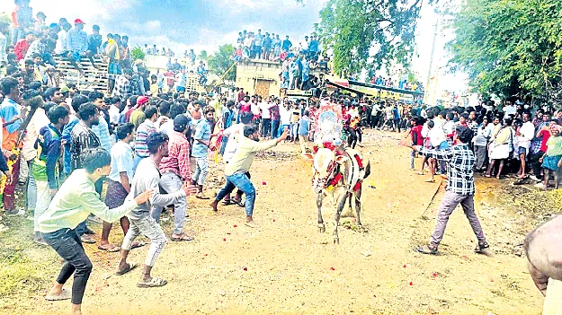 కొండకిందపల్లెలో జల్లికట్టు