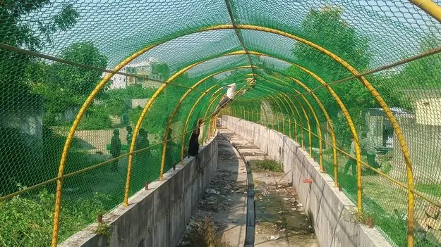 రామగుండంలో ఆధునిక నాలాలు