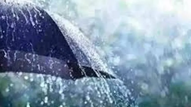 Rains Expected: ద్రోణి ప్రభావంతో వర్షాలు