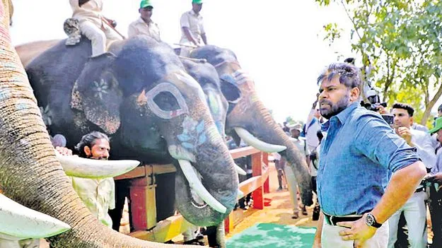 Deputy CM Pawan Kalyan: ఏనుగులదాడుల నివారణకు హనుమాన్‌