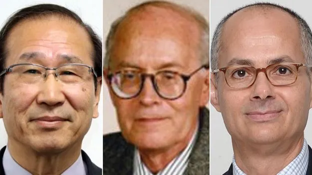 Chemistry Nobel: ముగ్గురు శాస్త్రవేత్తలకు రసాయనశాస్త్ర నోబెల్‌