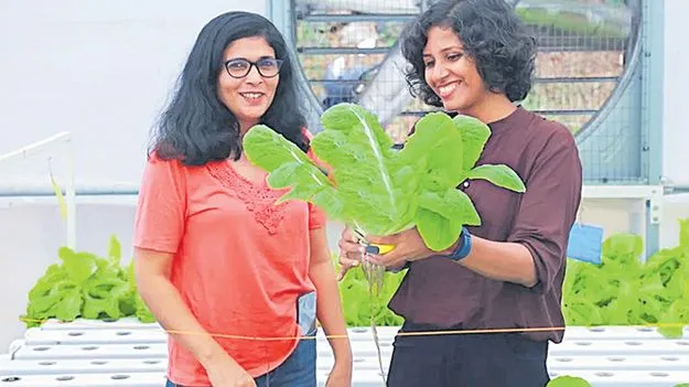 Emerald Jewelry: వీరికి మట్టితో పనిలేదు