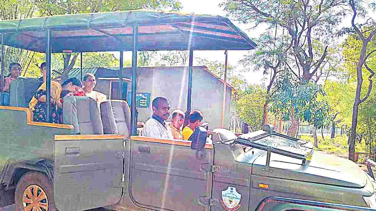 Tiger Safari Reopens in Amrabad Sanctuary: నల్లమలను చూసొద్దాం రండి