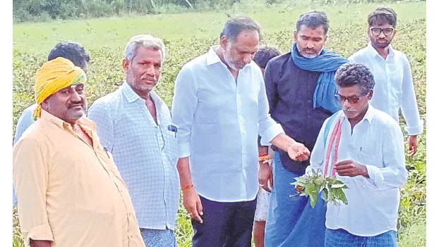పంట నష్టపోయిన ప్రతి రైతుకూ పరిహారం అందాలి