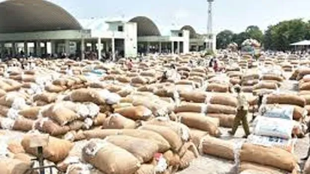 Cotton Purchase: వారంలో పత్తి కొనుగోళ్లు ప్రారంభించాలి!