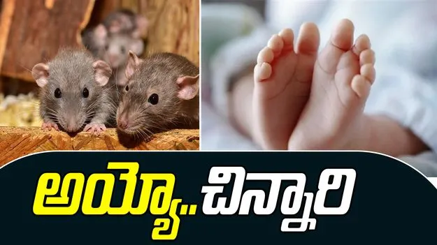 Telangana: విషాదం.. టూత్‌పేస్ట్ అనుకొని ఎలుకల మందు తిని చిన్నారి మృతి 