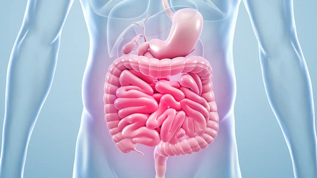 Gut Health-Habits: జీర్ణవ్యవస్థకు చేటు చేసే ఈ అలవాట్లను వెంటనే వదిలించుకోవాలి