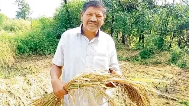   Maharashtra Farmer Compensation: పంటనష్టం కింద రైతుకు పరిహారం 2.30