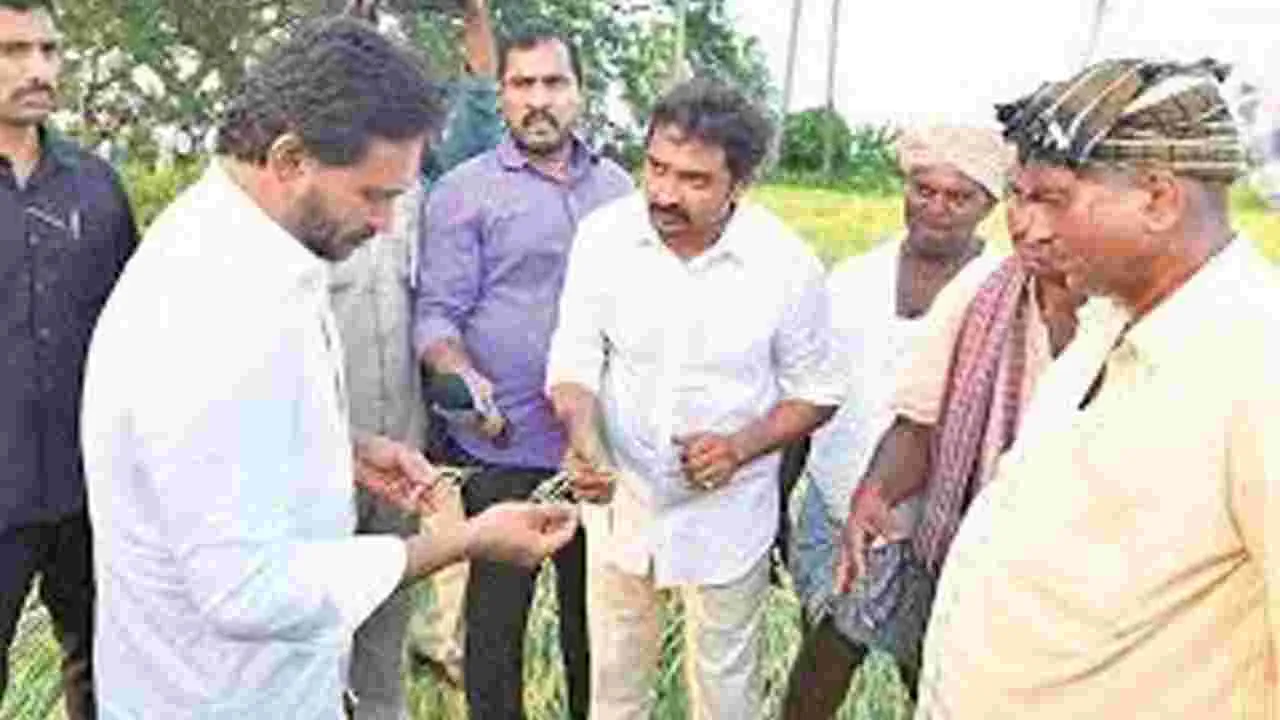  Jagan Criticizes: ఆ ఐదేళ్లూ రైతులకు నరకం