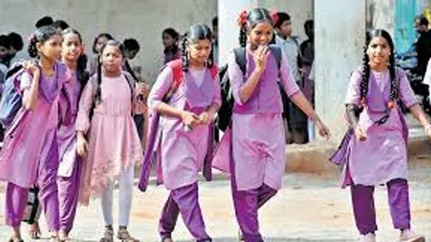 Government Schools:  పాఠశాలల్లో ప్యూర్‌ ఫెమ్‌ అమలు 